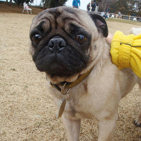 20080303_8.jpg