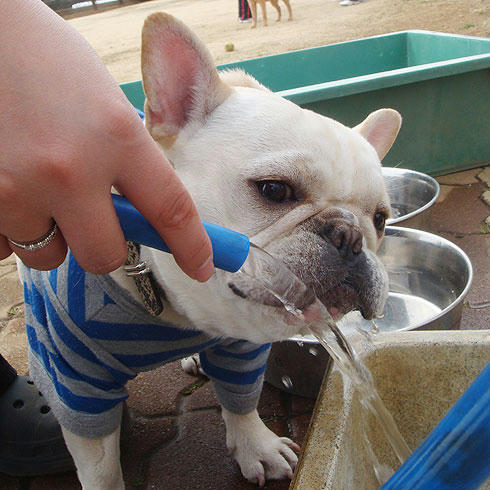 20080303_9.jpg