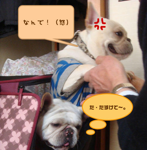20080305_4.jpg