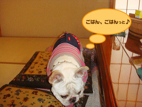20080305_5.jpg