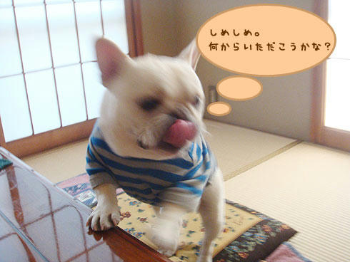 20080305_6.jpg