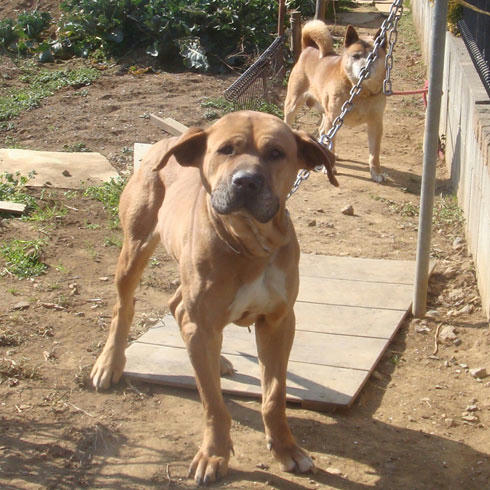 20080310_3.jpg
