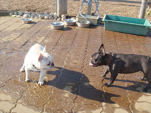 20080310_7.jpg