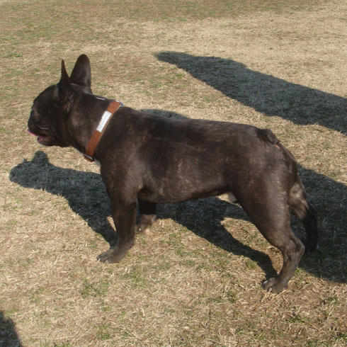 20080311_3.jpg