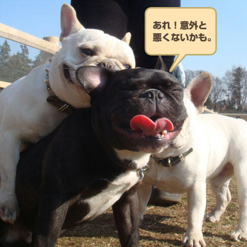 20080311_8.jpg