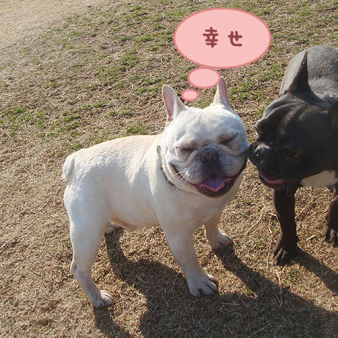 20080311_9.jpg