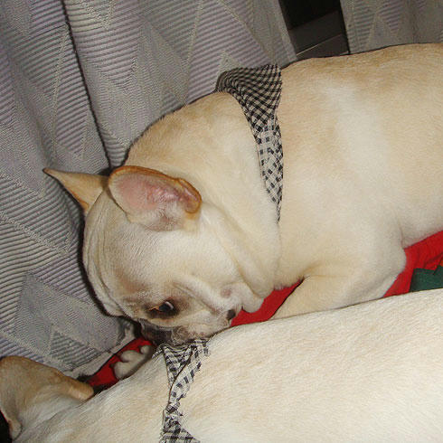 20080314_6.jpg