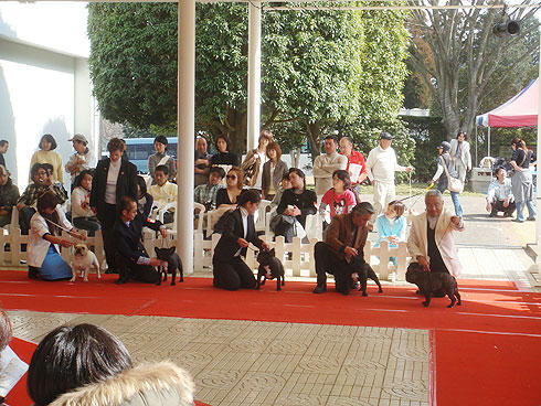 20080318_3.jpg