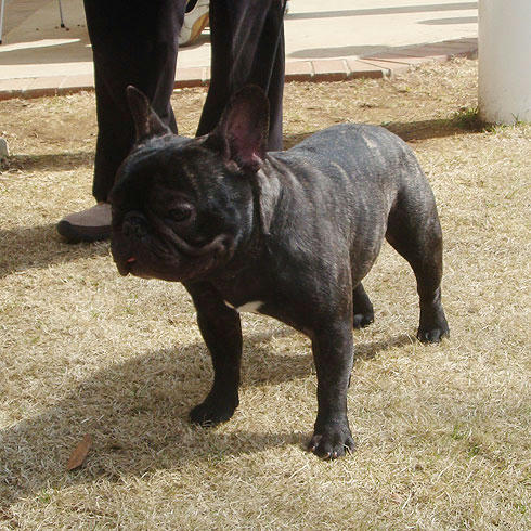 20080318_5.jpg