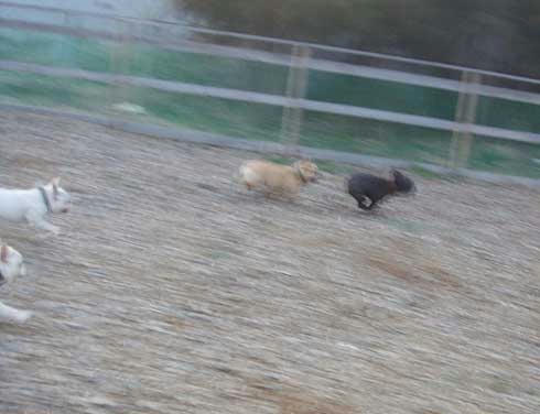 20080319_6.jpg