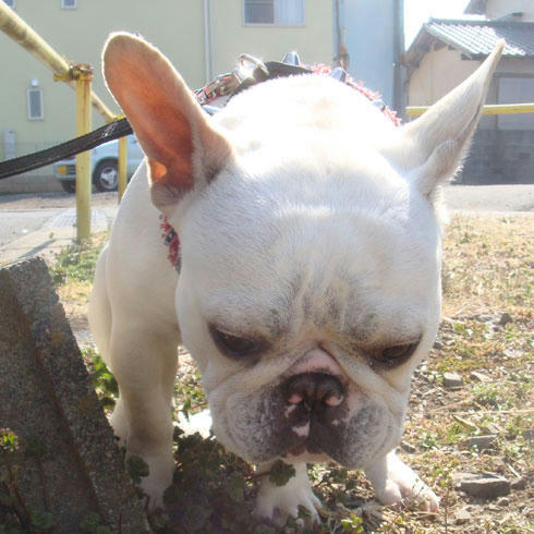 20080321_2.jpg