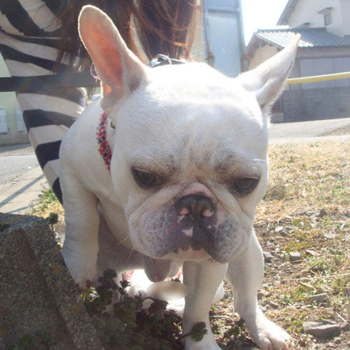 20080321_4.jpg