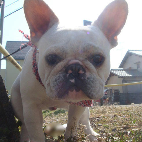 20080321_6.jpg