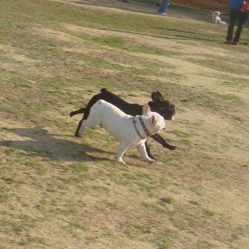 20080325_8.jpg