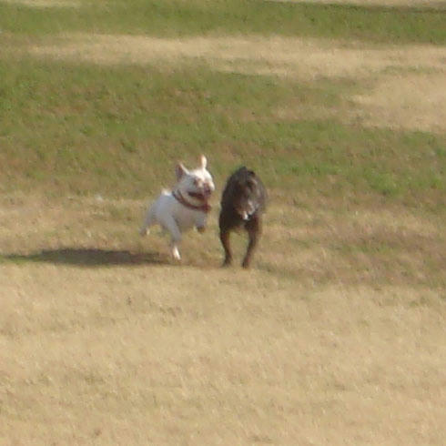 20080325_9.jpg
