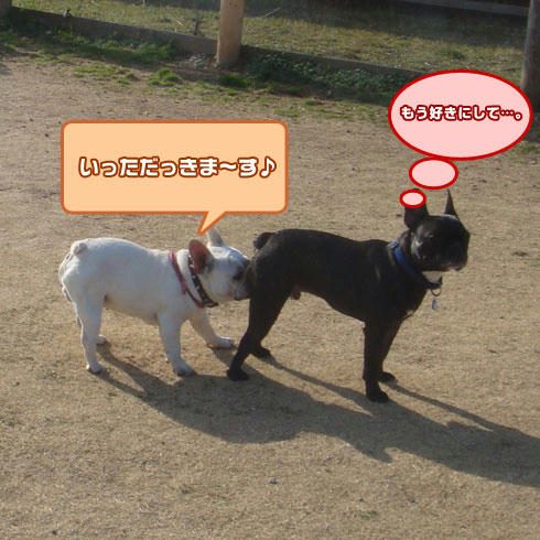 20080325_15.jpg