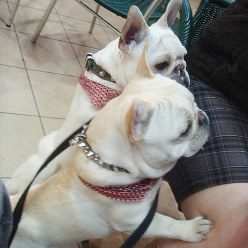 20080326_1.jpg