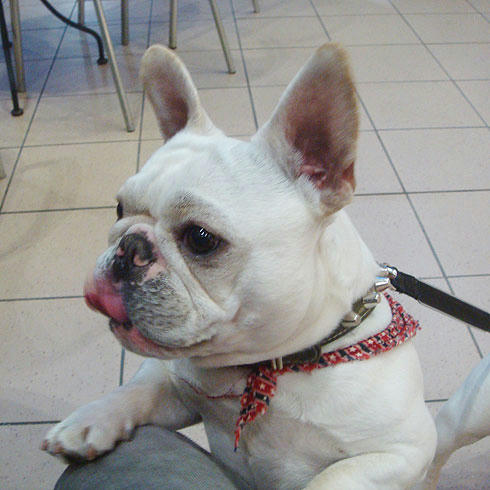 20080326_2.jpg