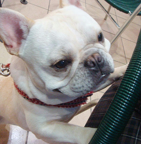 20080326_4.jpg