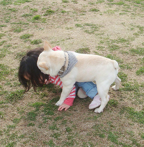 20080401_5.jpg