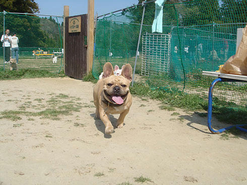 20080407_2.jpg
