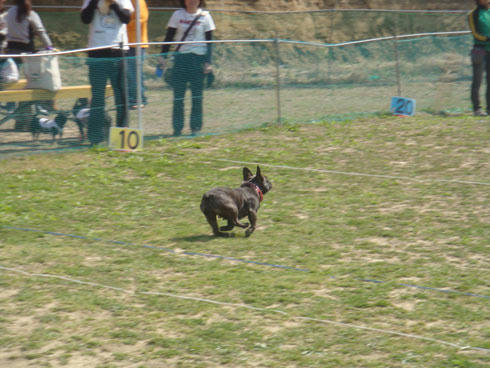 20080407_5.jpg