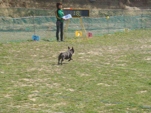 20080407_6.jpg