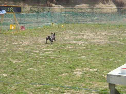 20080407_7.jpg