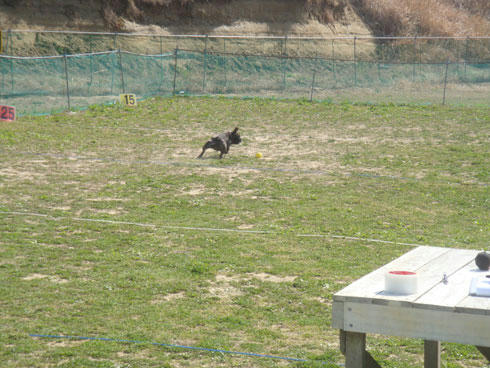 20080407_8.jpg