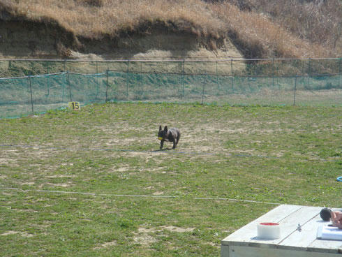 20080407_11.jpg