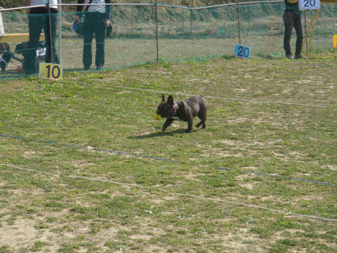 20080407_12.jpg