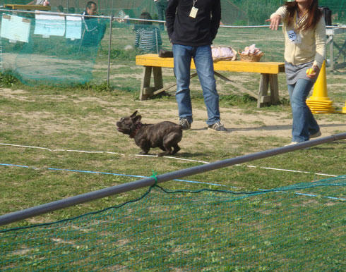20080407_14.jpg