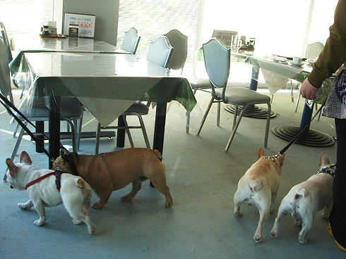 20080408_1.jpg