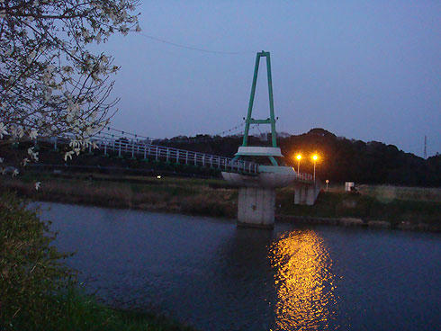 20080410_3.jpg