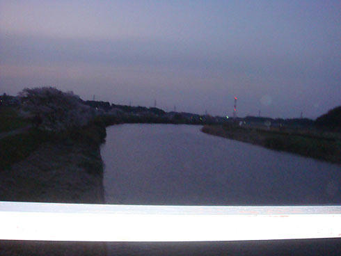 20080410_6.jpg