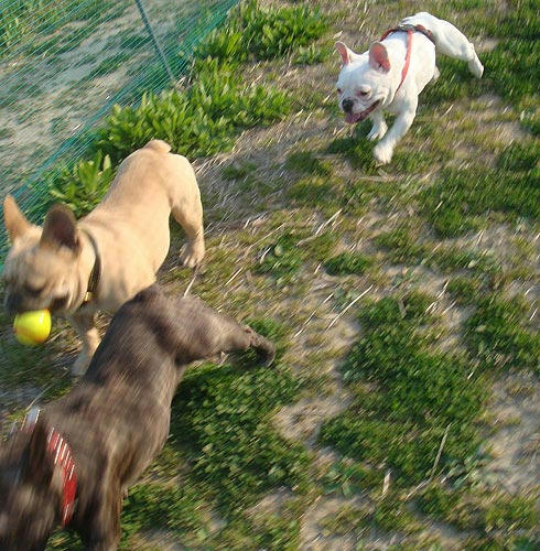 20080411_14.jpg