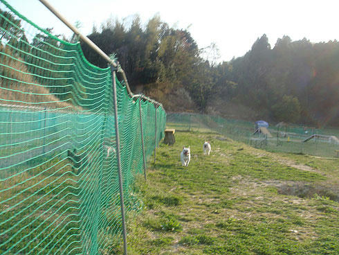 20080411_15.jpg