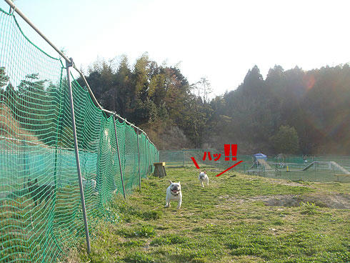 20080411_16.jpg