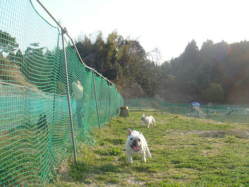 20080411_17.jpg
