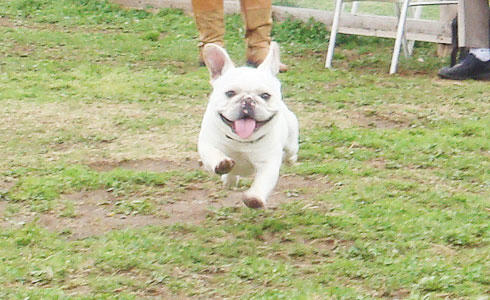 20080415_1.jpg