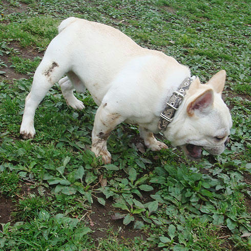 20080415_2.jpg