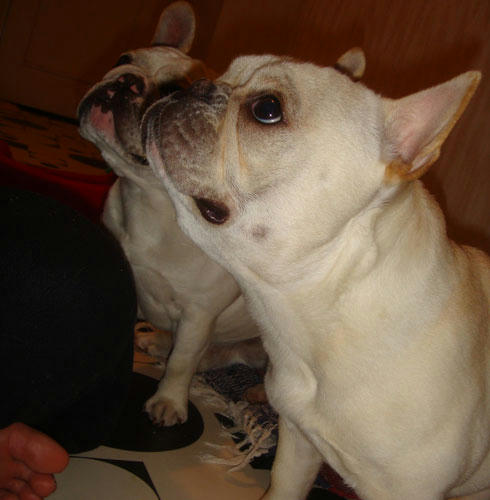 20080416_1.jpg