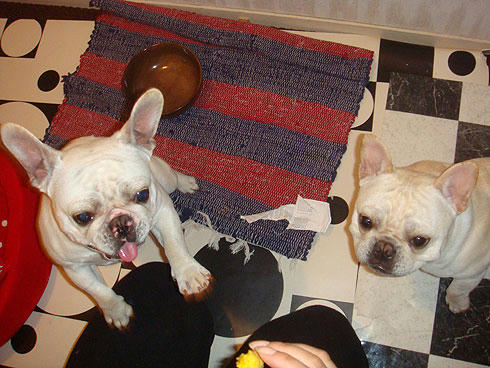 20080416_4.jpg