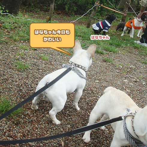 20080428_5.jpg
