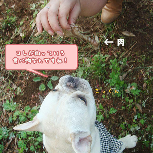 20080428_8.jpg