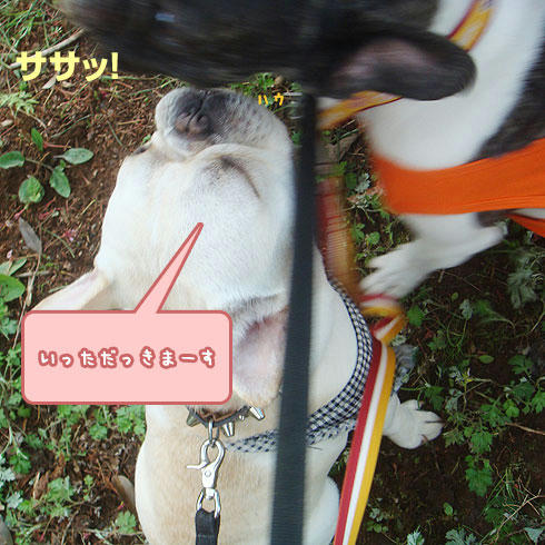 20080428_9.jpg