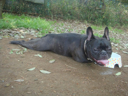 20080430_8.jpg