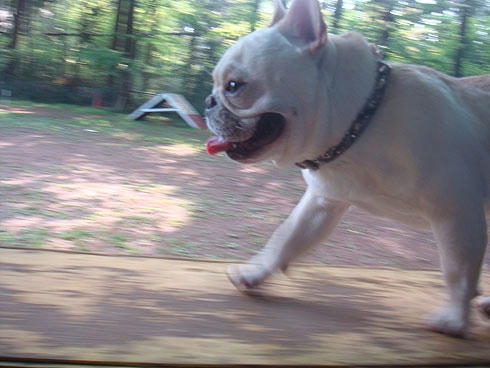 20080430_10.jpg