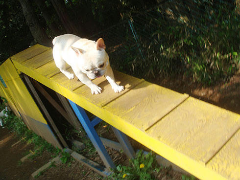20080430_11.jpg
