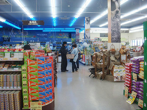20080502_3.jpg